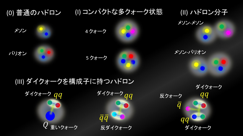 多様なハドロンの内部形態